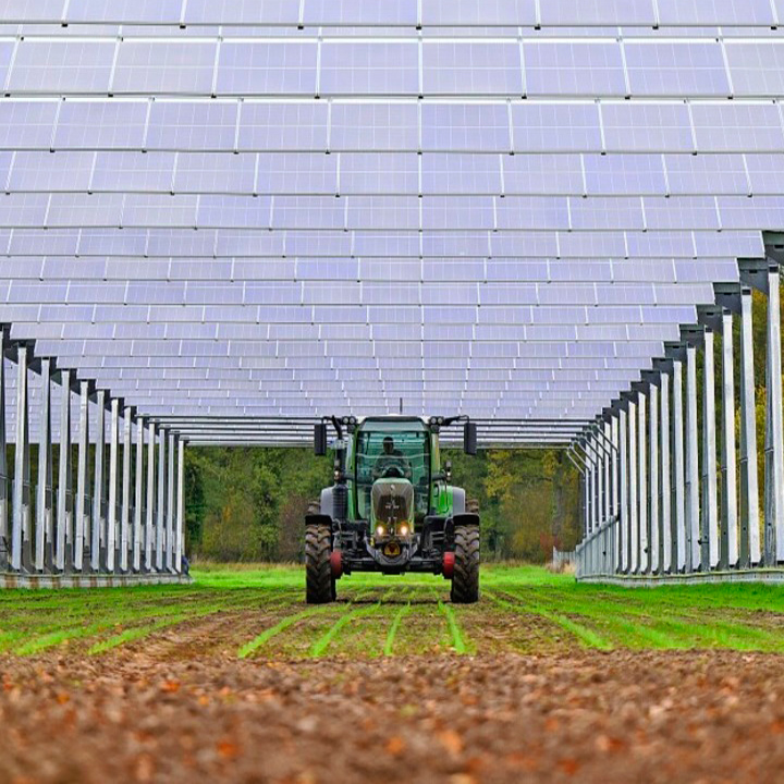 strutture per l'agrovoltaico