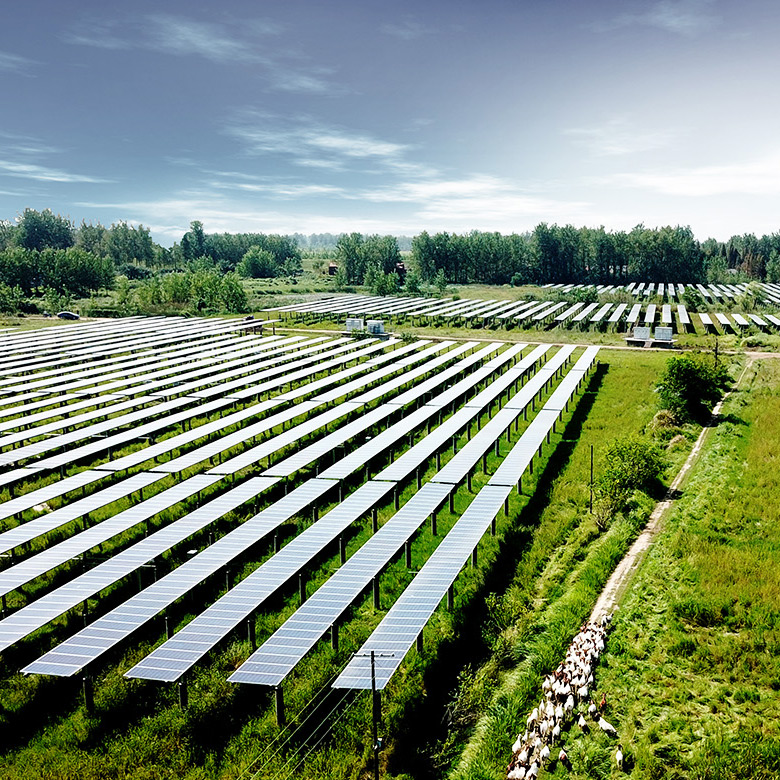 strutture per l'agrovoltaico