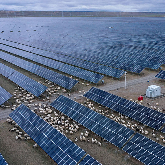 strutture per l'agrovoltaico
