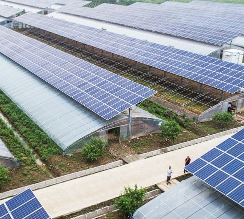 strutture per l'agrovoltaico